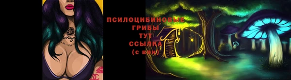 прущие крисы Дмитров