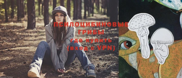 винт Дмитриев