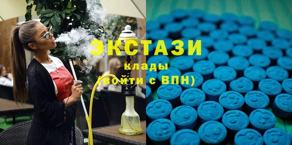 СК Дмитровск